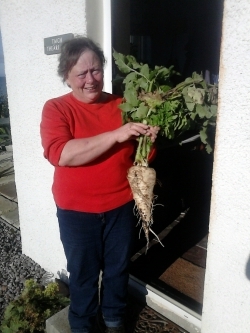  Giant Parsnip